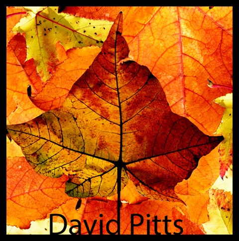 david-pitts